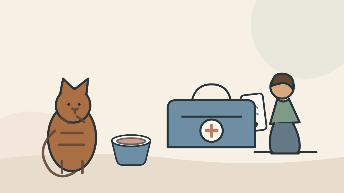 A caregiver phones a veterinary clinic while keeping an open carrier ready beside an alert cat and untouched food bowl