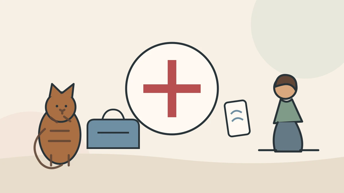 A calm emergency-preparation scene shows a cat carrier, phone, clinic directions, and a caregiver observing a cat without restraint