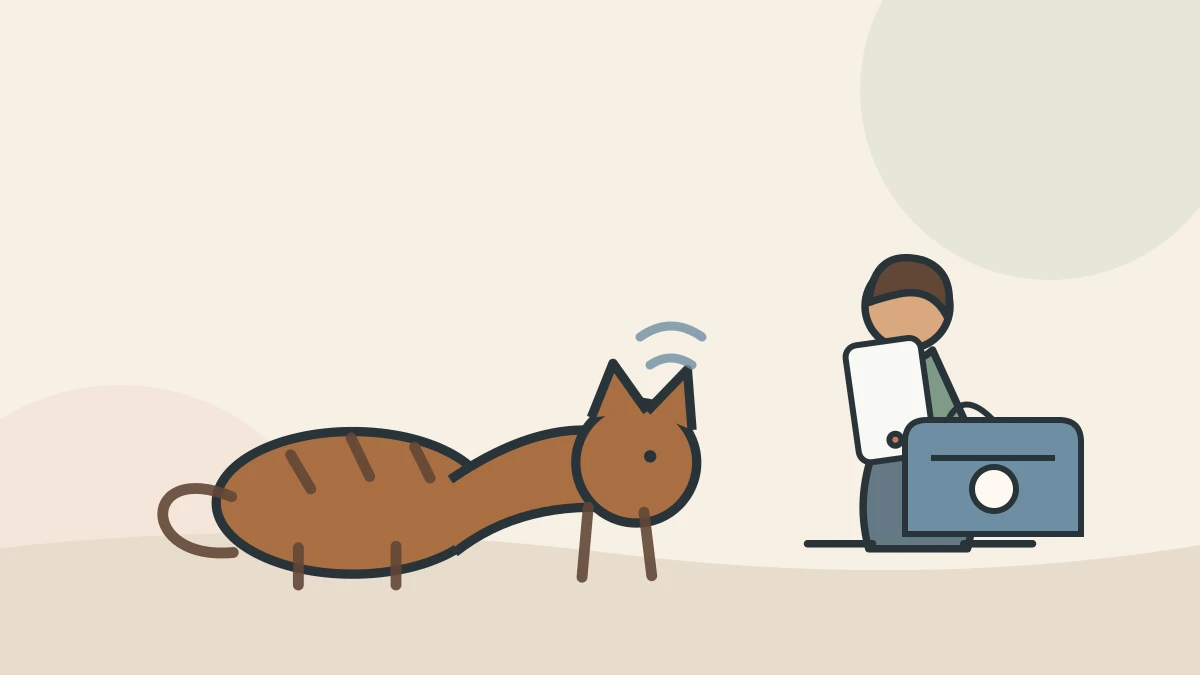 A caregiver checking a crouching cat from a safe distance while keeping a phone and carrier ready