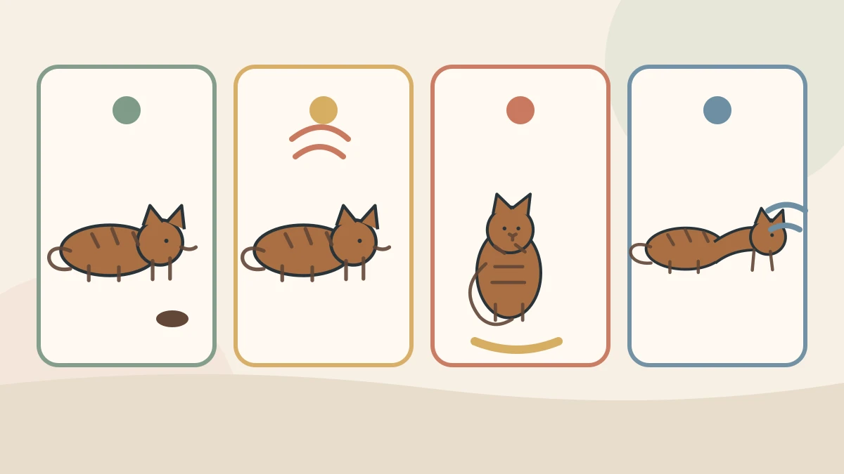 Four calm cat silhouettes demonstrating a hair-filled episode, active abdominal heaving, passive food return, and a neck-extended cough without labels
