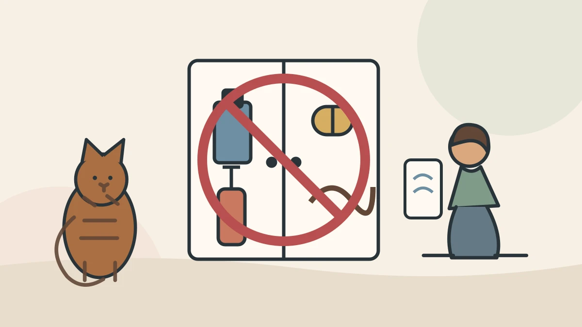 String, human medicine, an oil bottle, and a syringe safely closed behind a cabinet door while a caregiver calls a veterinarian