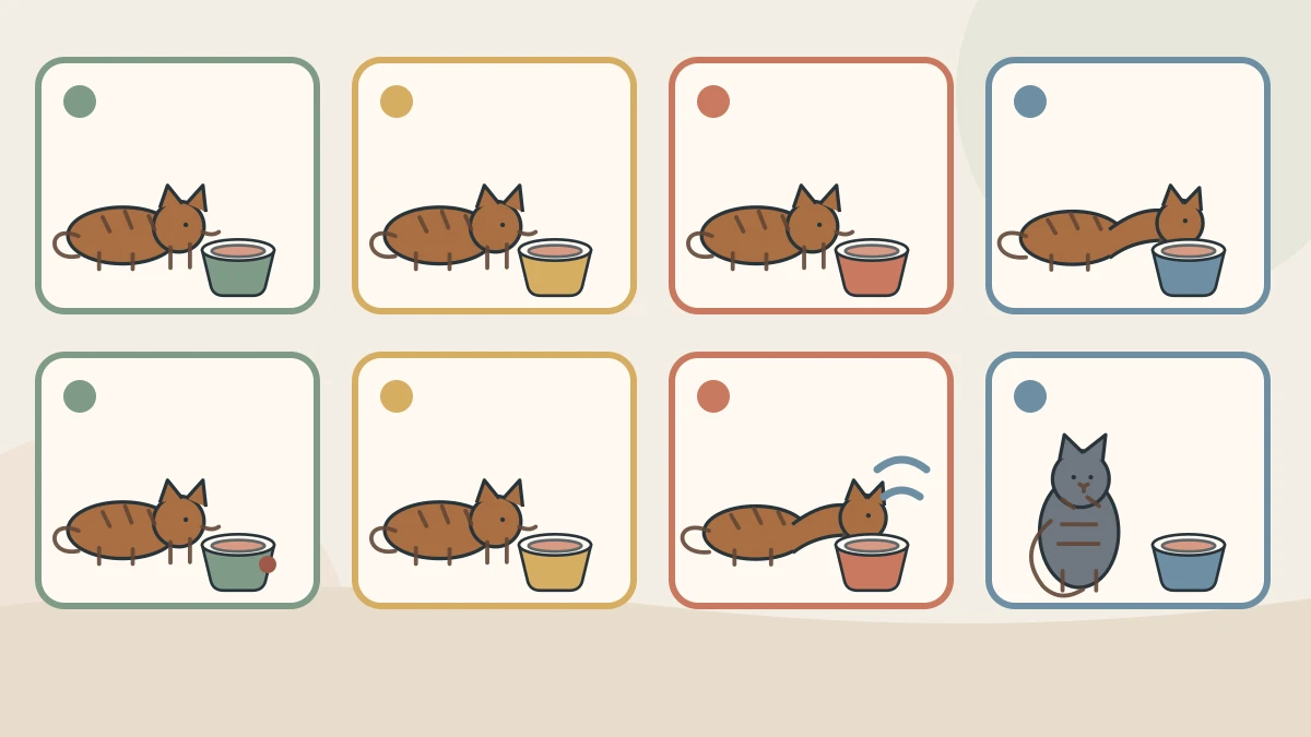Eight illustrated meal observations show complete refusal, a few bites, treats only, approach then retreat, dropped food, gravy licking, swallowing difficulty, and a second cat blocking the bowl