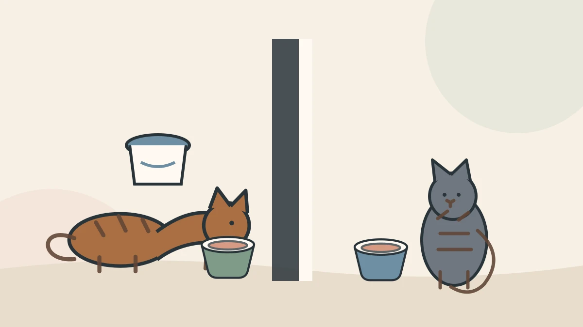 One tabby eats in a quiet room with its own clean bowl and water while another cat remains calmly separated on the other side of a closed door