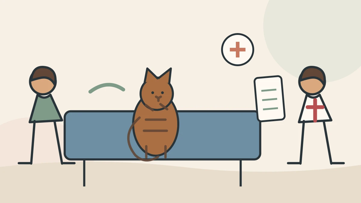 A veterinarian reviews a caregiver’s intake log and food package details while gently examining an alert tabby cat