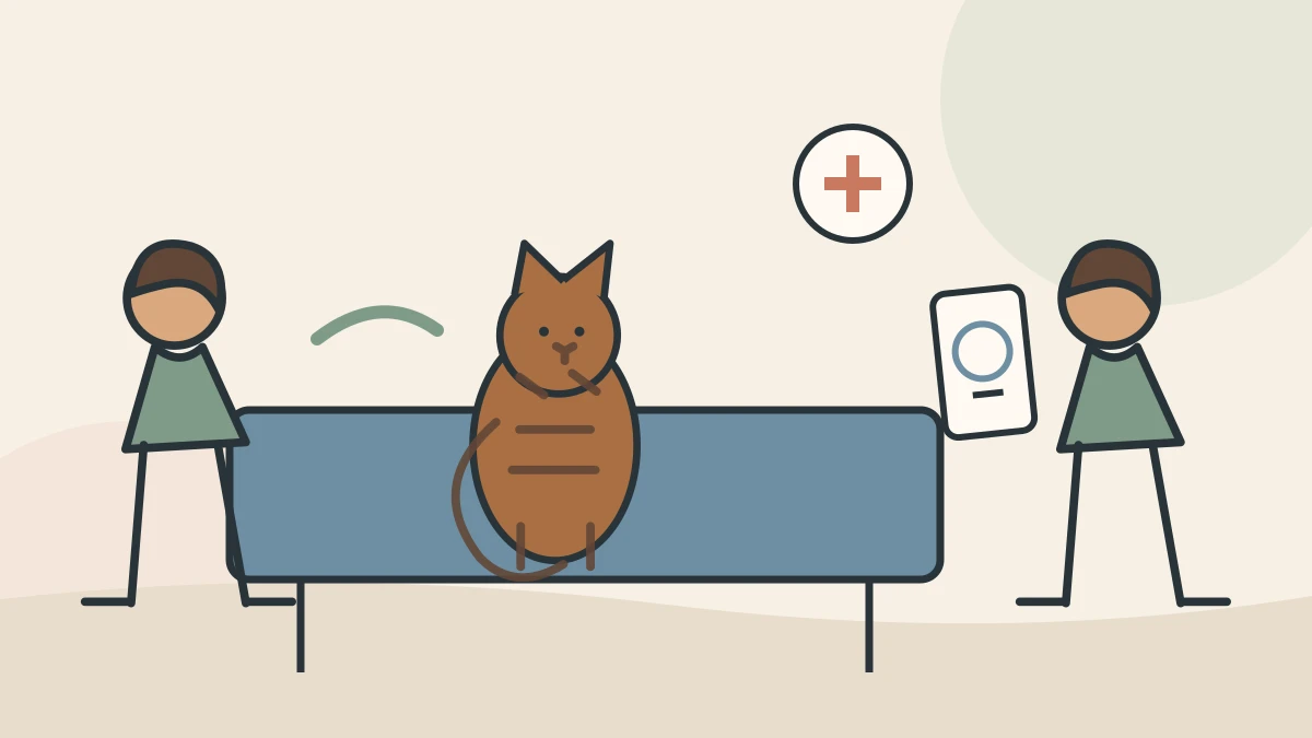 Veterinarian reviewing a caregiver's phone video and observation notes while examining a calm tabby cat