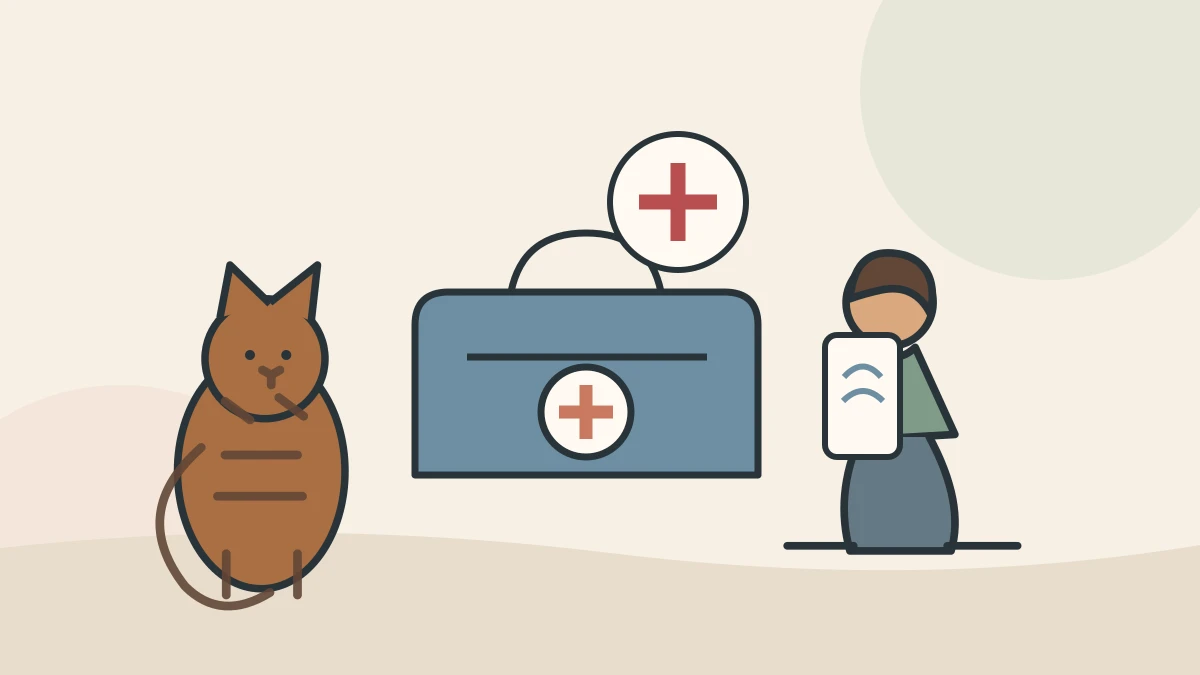 A calm caregiver placing a cat carrier beside the door while calling a veterinary clinic after noticing urgent warning signs