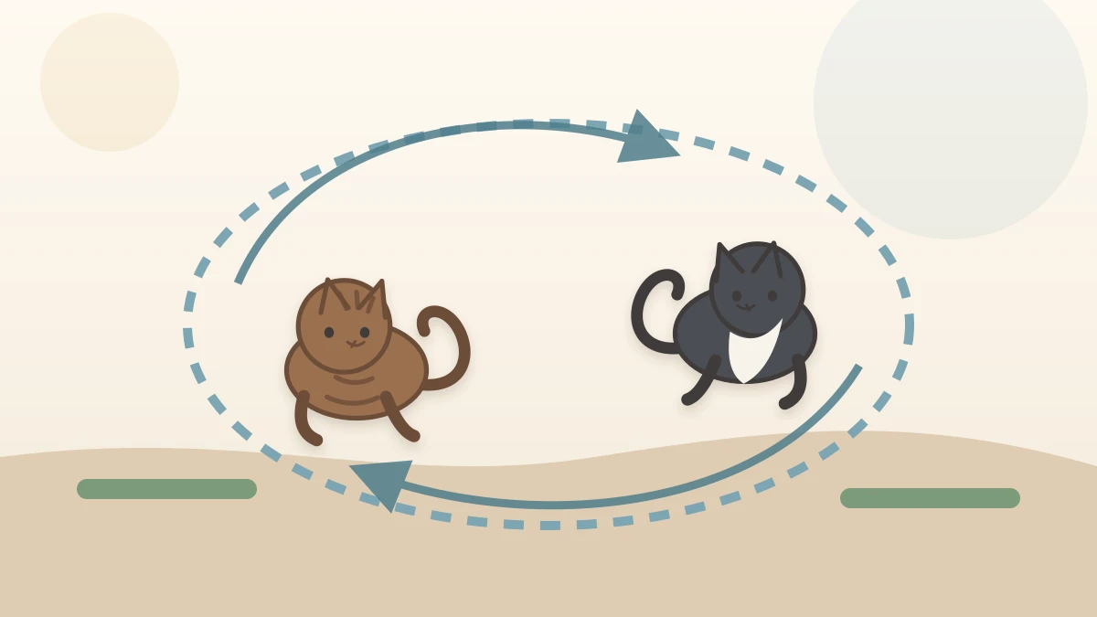 Brown tabby and black-and-white cat exchange chaser and chased roles around an open loop with two clear exits