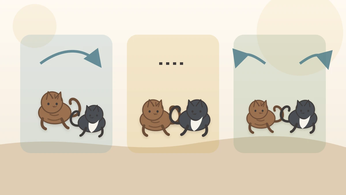 Two cats move through a three-part sequence from reciprocal chase to a pause with open exits and then calm separation